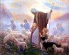 Tôi đến để chiên được sống (3.5.2020 – Chúa nhật 4 Phục sinh năm A – Chúa chiên lành)