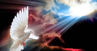 Hãy nhận lấy Thánh Thần (31.5.2020 – Chúa Nhật, Lễ Chúa Thánh Thần hiện xuống)
