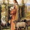 Tôi là cửa cho chiên (8.5.2017 – Thứ Hai Tuần 4 Phục sinh)